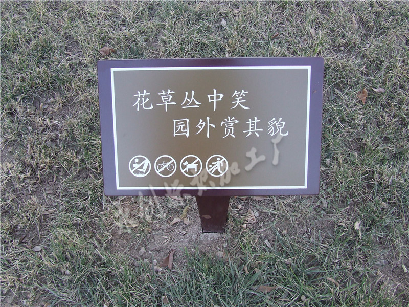 DSCF0067.JPG