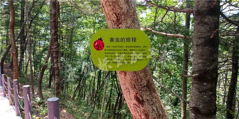 微信圖片_2018072818475410