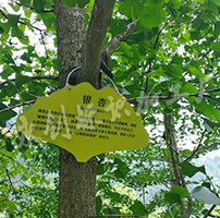 陜西景區植物介紹牌，旬陽壩景區動植物說明牌制作