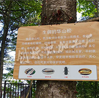 陜西旬陽壩景區標識標牌制作項目完美收工